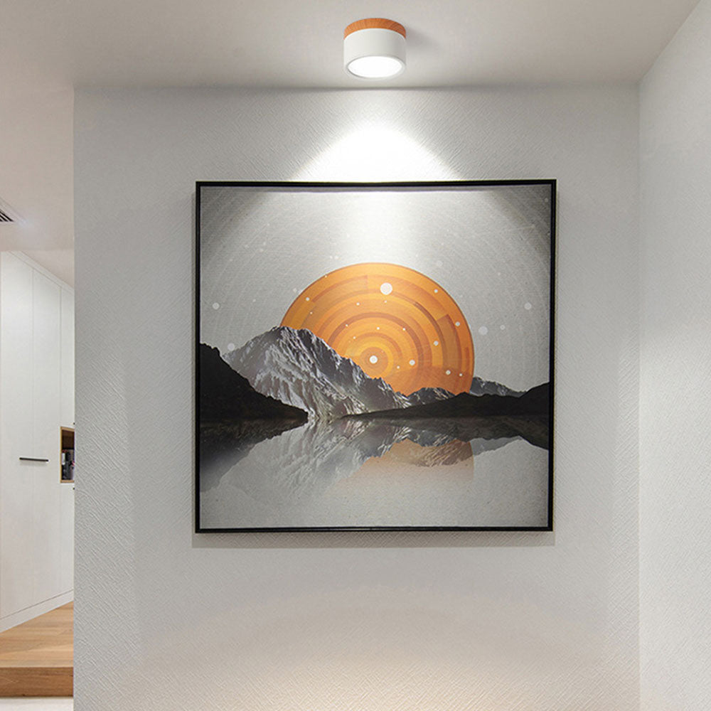 Avena - Compacte Ronde LED Plafondlamp