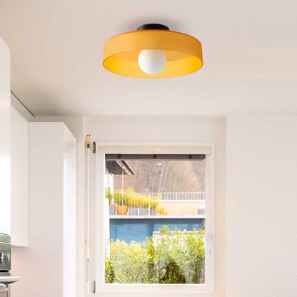 Olea - Glazen Design Plafondlamp en Wandlamp