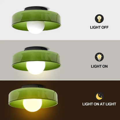 Olea - Glazen Design Plafondlamp en Wandlamp
