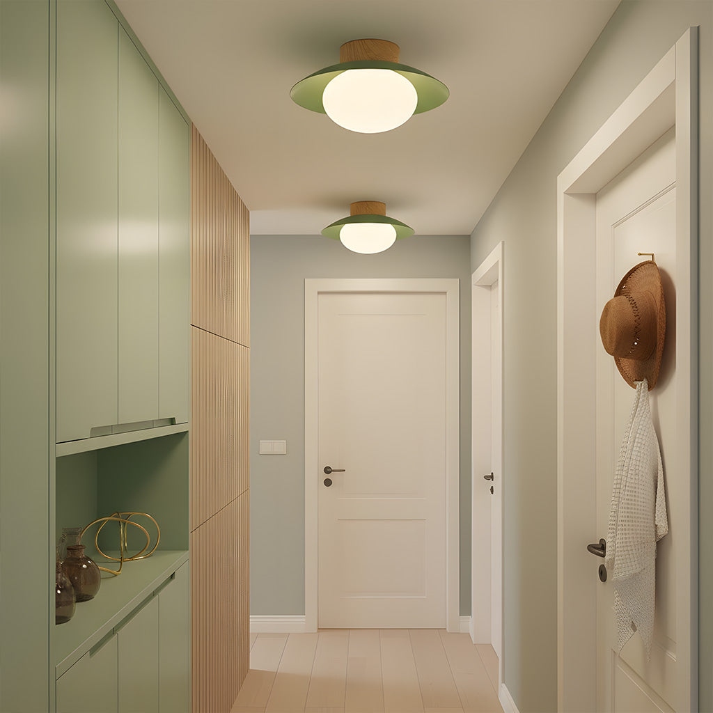 Elna - Ronde LED Plafondlamp met Glazen Bol