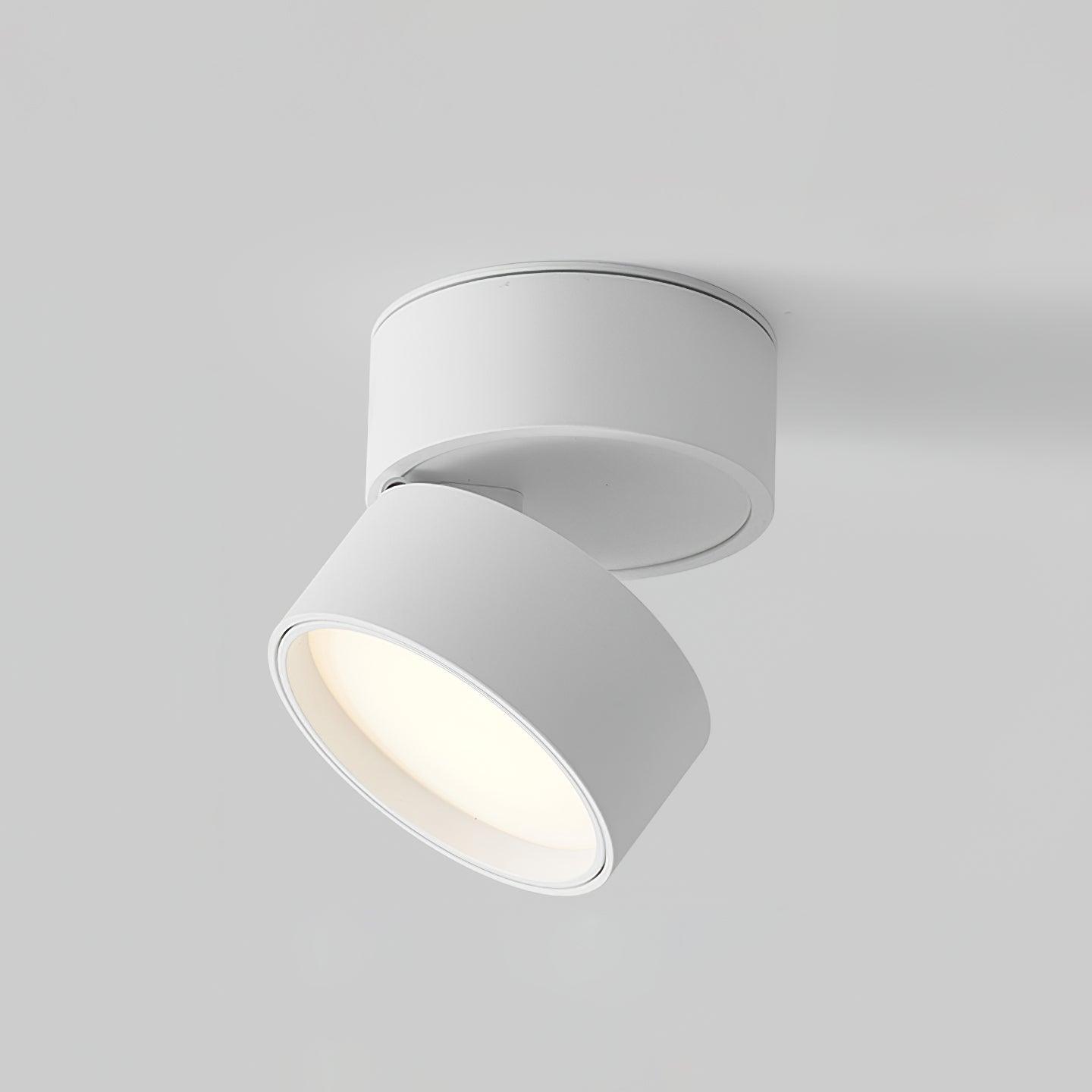 Loven - Verstelbare LED Spot Plafondlamp Modern